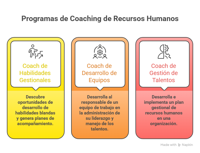 Coaching Organizacional